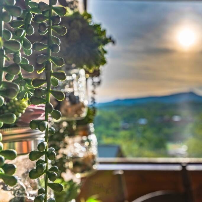 Hébergement de vacances Cozy In The Smokies!!! Fully Furnished And Complete With Community Indoor And Outdoor Pools And Spas, Game And Fitness As Well As A Private Hot Tub